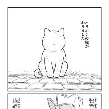 fantasy, original, hero / ハリボテの猫