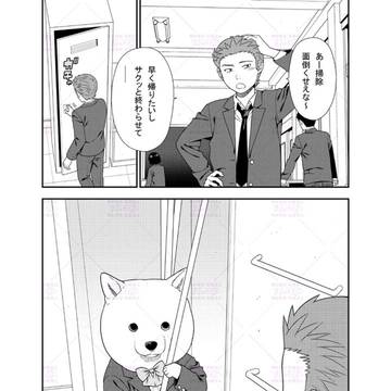 dog, cat, Original 500+ bookmarks / 42