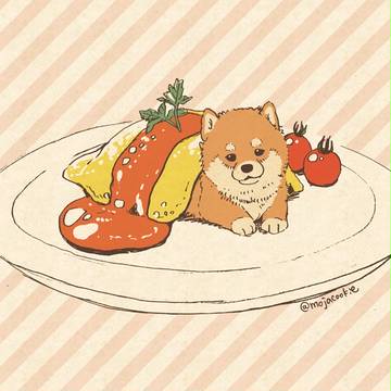 original, dog, incredibly cute / ワンコインランチです　1〜10