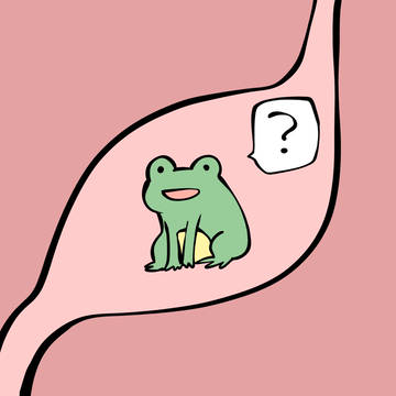 original, frog, vore / 胃の中の蛙