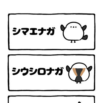 long-tailed tit, doodle, original character / no.2187 『 シナナメナガ 』
