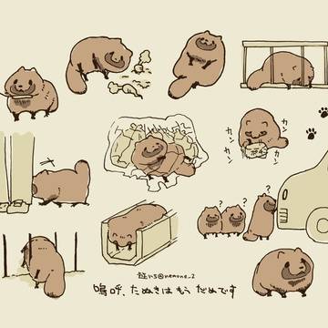 animal, tanuki, original 1000+ bookmarks / 嗚呼、たぬきはもうだめです