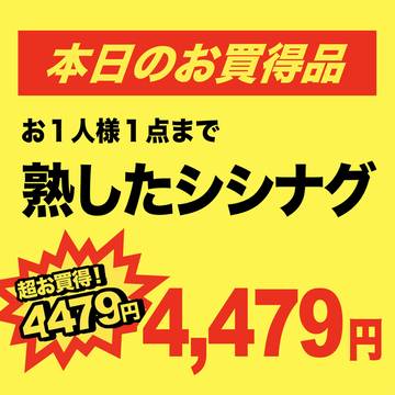 まとめ② / April 5th, 2024