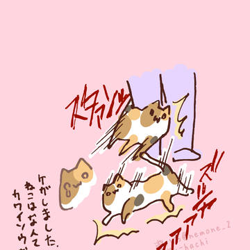 cat, original 1000+ bookmarks / レクサス(隠語)3 / November 14th, 2024