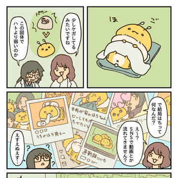 研究者とはち③ / November 22nd, 2024