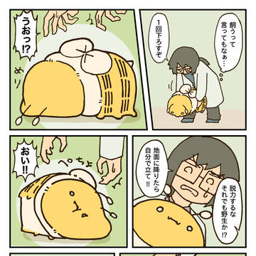 cute / めり / November 27th, 2024