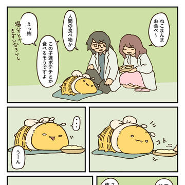 ご飯 / December 3rd, 2024