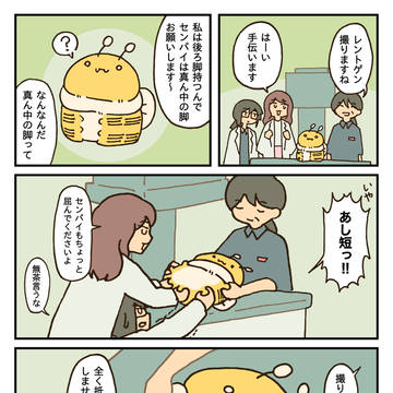 レントゲン / December 19th, 2024