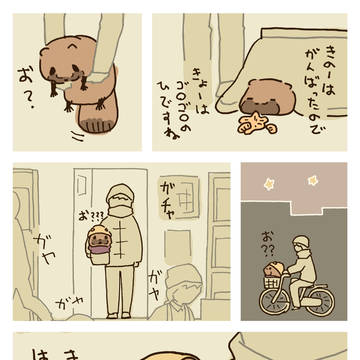 human livestock / 9連勤を働くひとにレンタルたぬき / December 25th, 2024