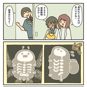 はち骨 / December 27th, 2024