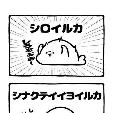 incredibly cute, dolphin, illustration / no.2218 『 シナクテイイヨイルカ 』