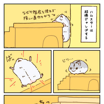 ハムスタージャンプ！ / January 25th, 2025