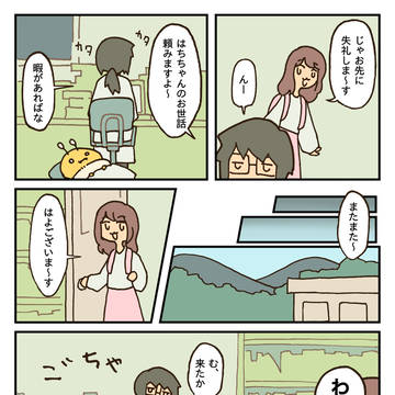 はち観察 / January 30th, 2025