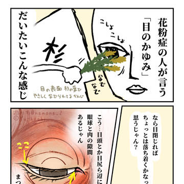 hay fever / 続・花粉症 / February 23rd, 2025
