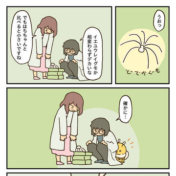 クモ / April 19th, 2025