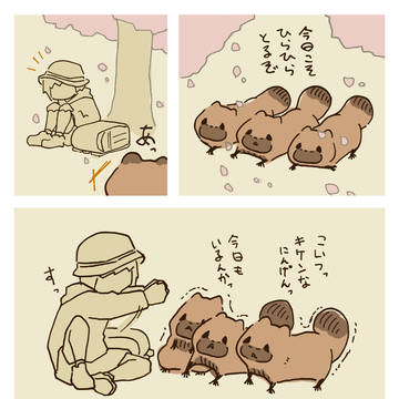 I don't think so., Actually, it is. / たぬきと桜の花びら / April 22nd, 2025