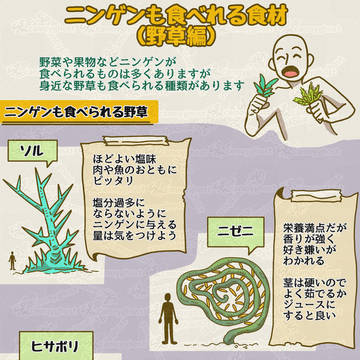 新！ニンゲンの飼い方図鑑『ニンゲンも食べれる食材（野草編）』 / April 28th, 2025